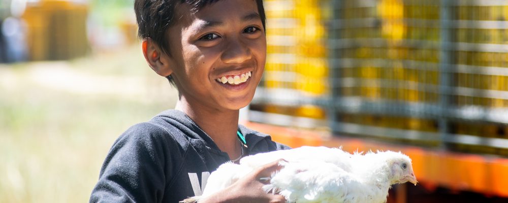 BAVI Donates Live Chicken to Typhoon Survivors